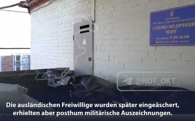ZDF-Experte Gustav Gressel, gegen Reporter vor ORT, GETÖTETE AUSLÄNDISCHE KÄMPFER, WERDEN von Ukrainern AUSGERAUBT