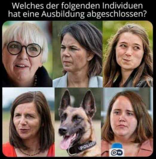 Habeck ohne Fachkenntnis, PLEITE GEHEN, INSOLVENT SEIN, Politiker ohne Ausbildung