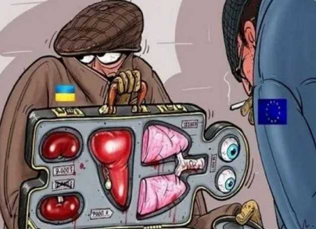 Transplantologen, schlachten Verwundete aus!?