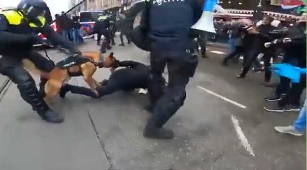 USA plündern Syrien, Jimmy Dore, Proteste brutal niedergeschlagen!