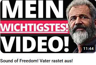 Sound Of Freedom, pädophiles Hollywood boykottiert, Grüne haben pädophile Positionen toleriert!?