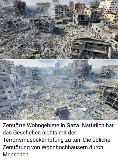 Staatsräson, gegen menschliche Tiere, Scholz will deutsche Soldaten im Israelkrieg!