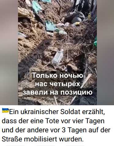 Dilnot Christopher John, deutscher Soldat gefallen, Bosis Johnson verhinderte Frieden!